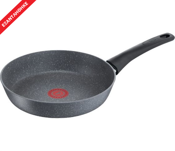Τηγάνι Chef Delight Stone 24cm Tefal G12